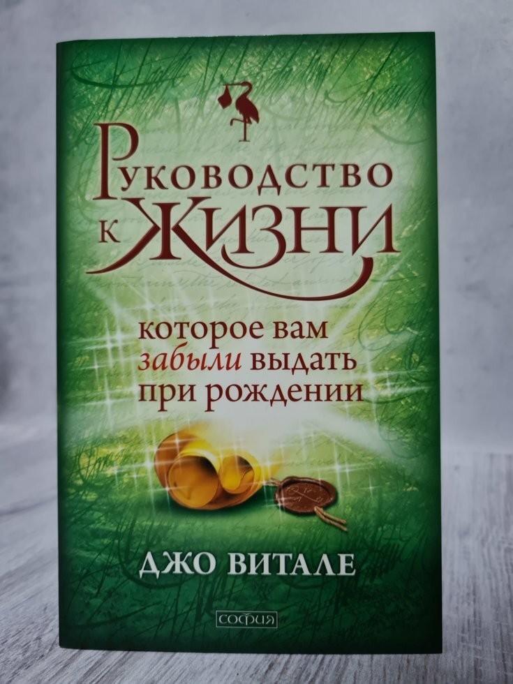

Книга Руководство к жизни которое вам забыли выдать при рождении Джо Витале София