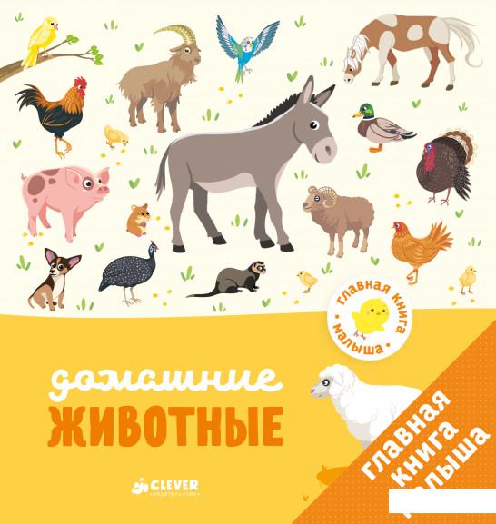 

Главная книга малыша. Домашние животные (808812)