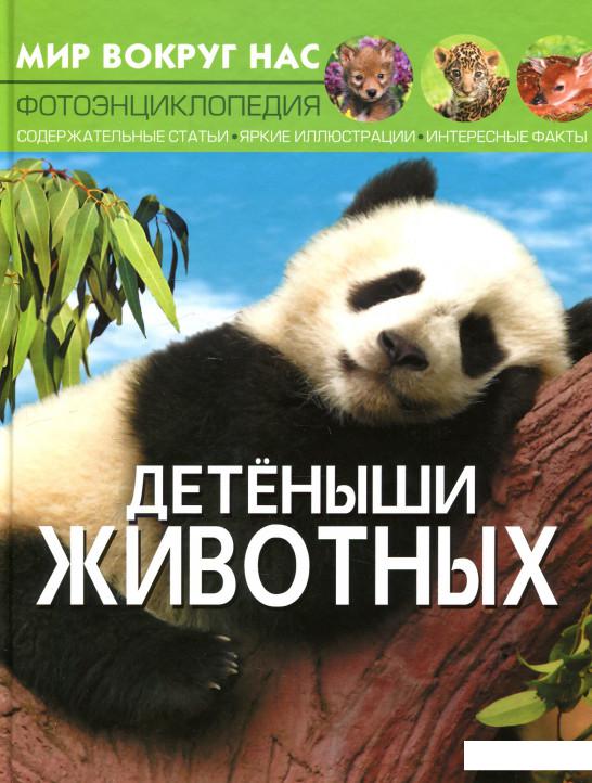 

Мир вокруг нас. Детёныши животных (921848)
