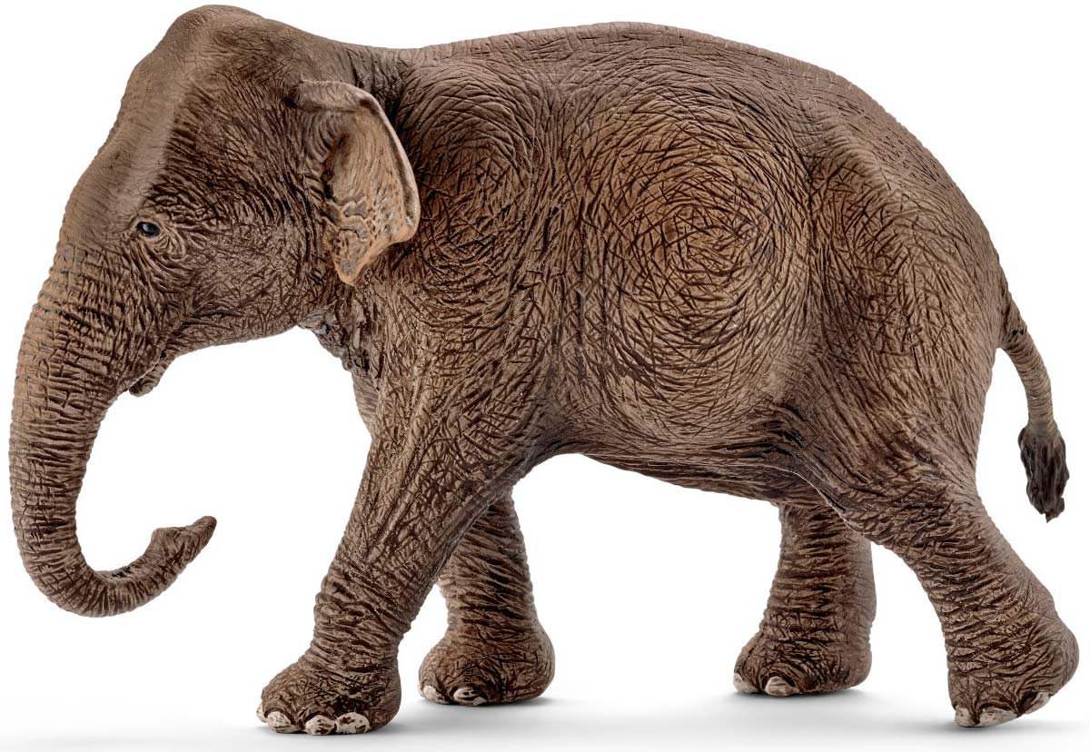 

Индийский слон (самка), игрушка-фигурка, Schleich (12-33427)