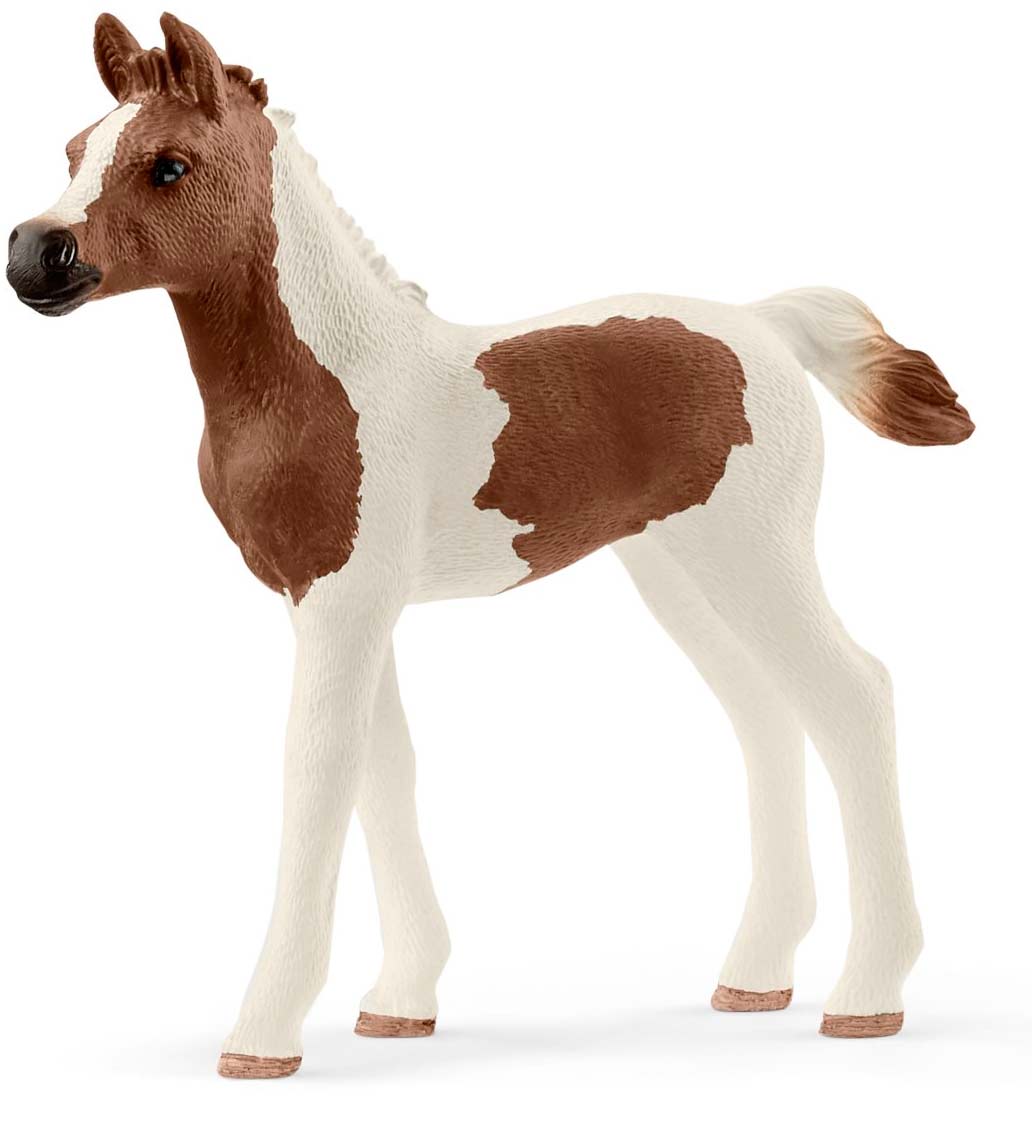

Жеребенок Пинтабиан, игрушка-фигурка, Schleich (12-61468)