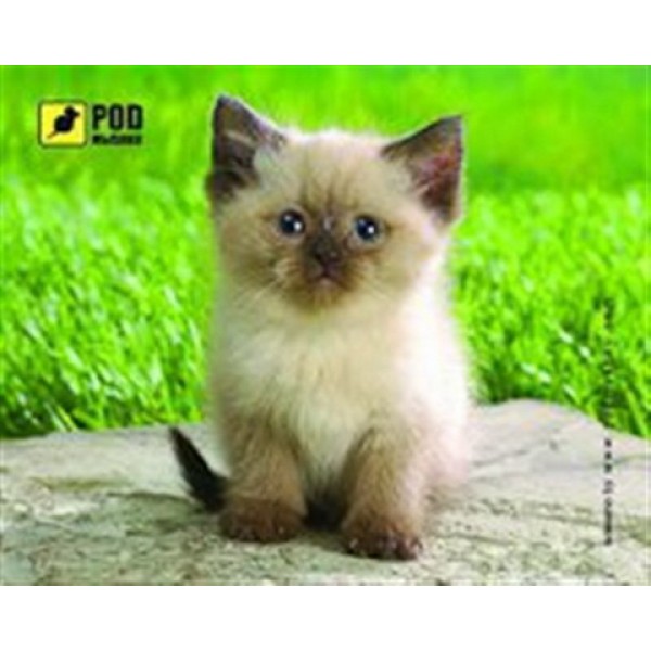 

Коврик для мыши Podmyshku Сиамский котик