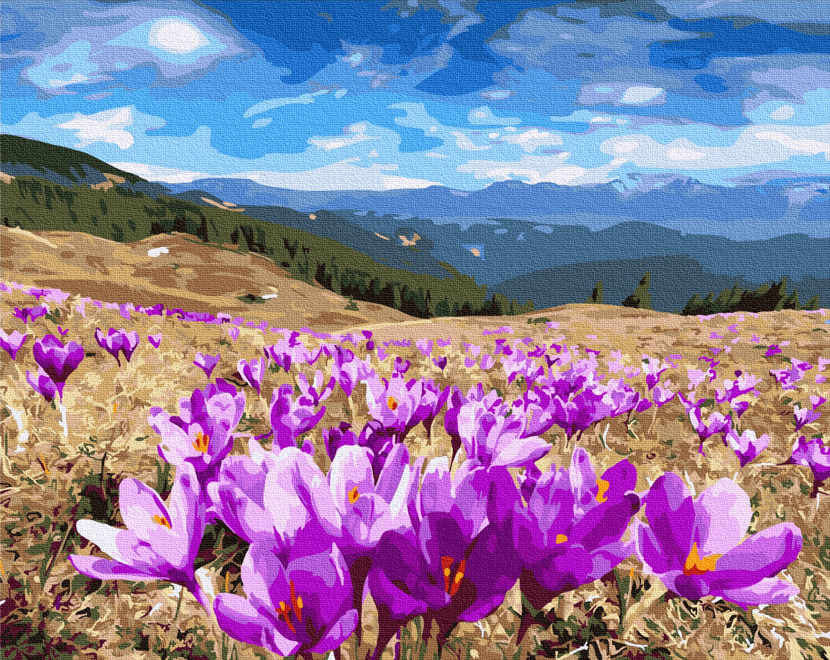 

Картина по номерам в коробке Paintboy Долина крокусов 40х50см (KGX27318)