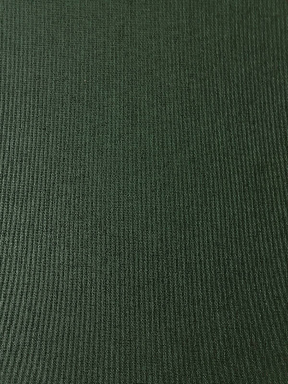 

Рулонная штора Franz Deco Eden 92,5 х 160 см Зеленый мох (Д31640)