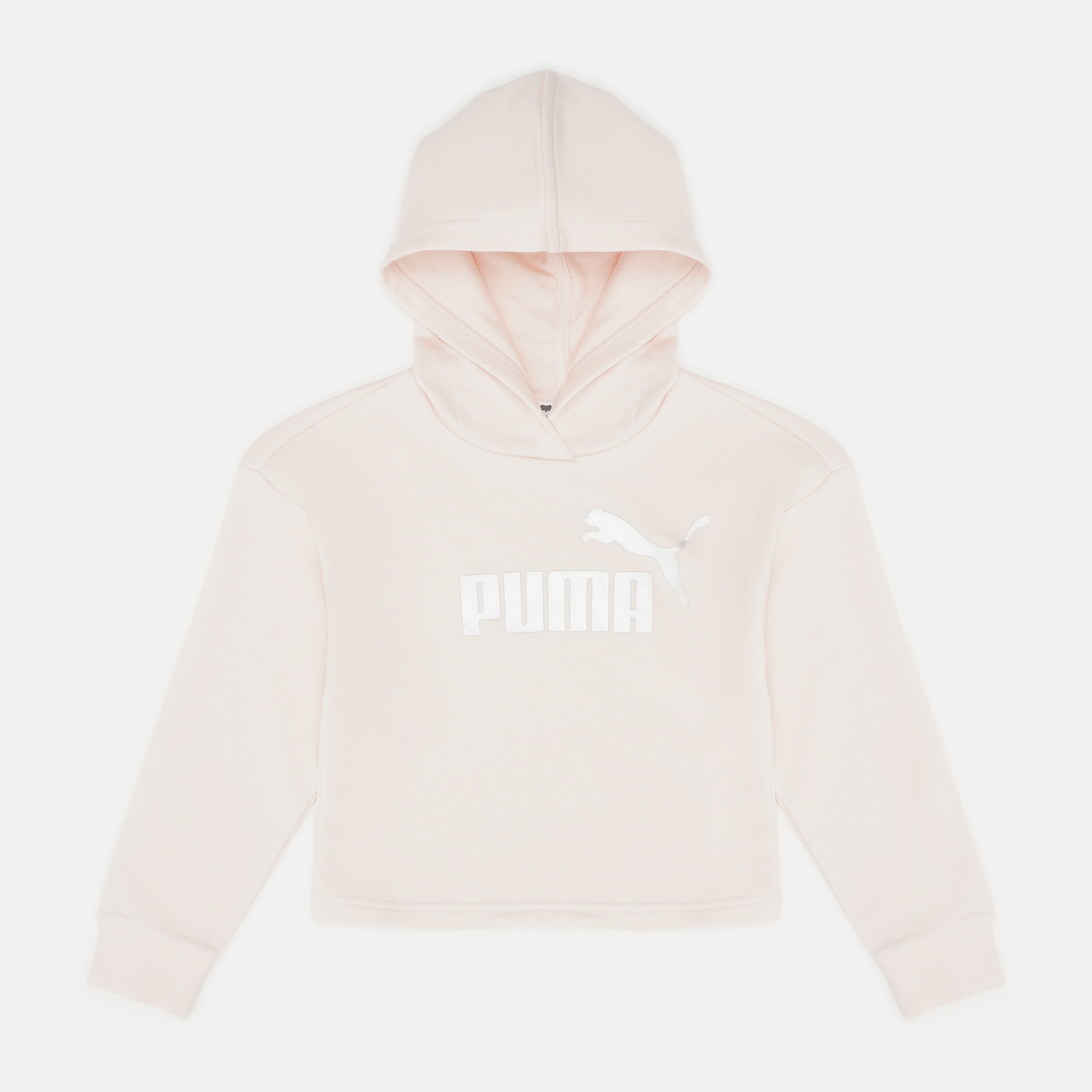 

Худи детское Puma ESS+ Hoody G 58255717 140 см Rosewater