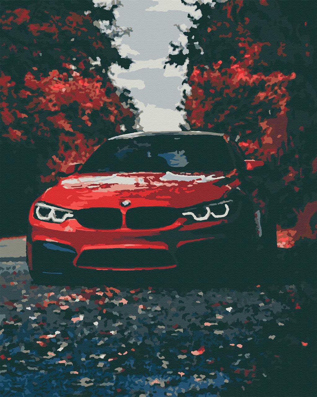 

Картина по номерам БМВ, цветной холст, 40*50 см, без коробки RB