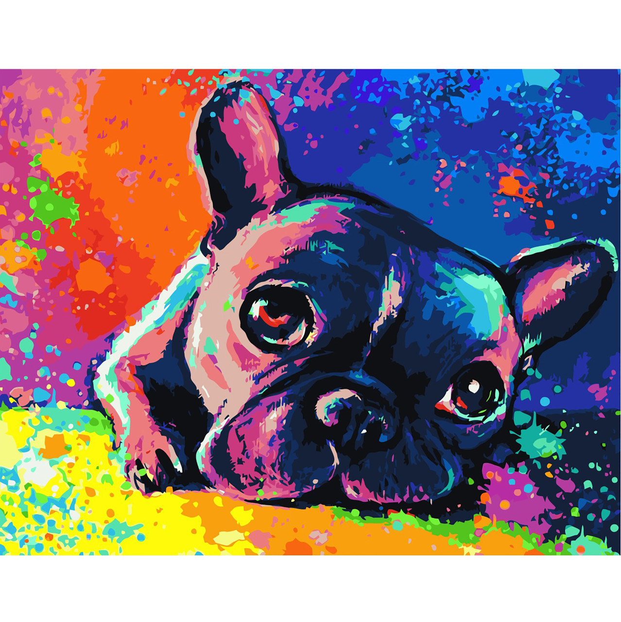 

Картина по номерам Радужный француз, 40*50 см, ST