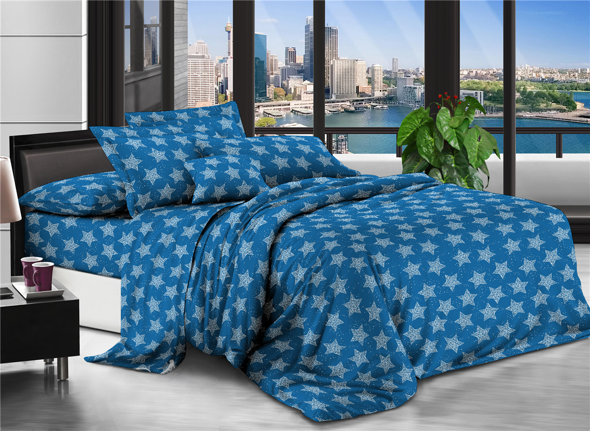 

Комплект постельного белья Modern Микросатин 15-0231 Blue Star 2х16х220