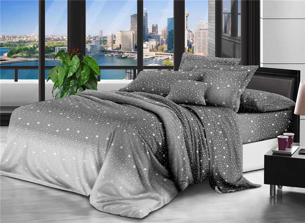 

Комплект постельного белья Modern Микросатин 15-0255 Agnes 2х16х220