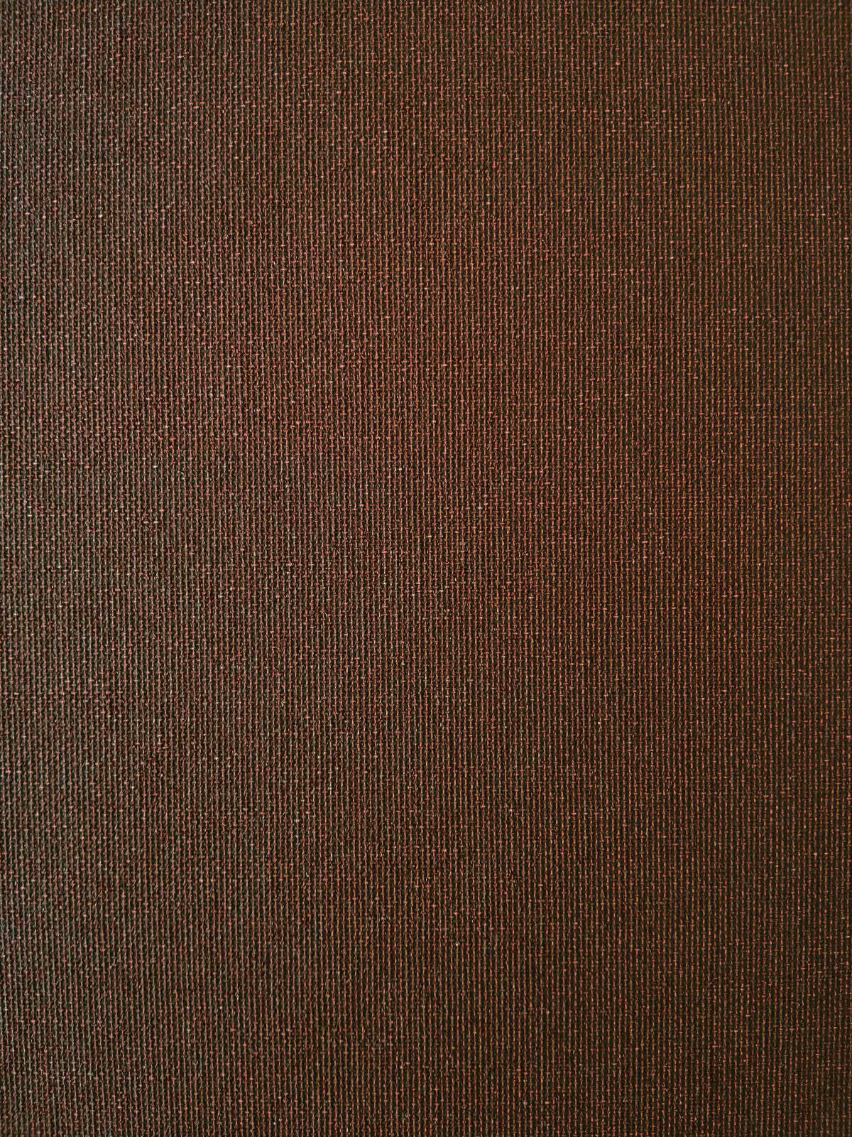 

Рулонная штора Franz Deco Eden 130 х 160 см Каштановая (Д31521)