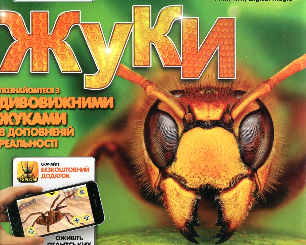 

Жуки (Explore)