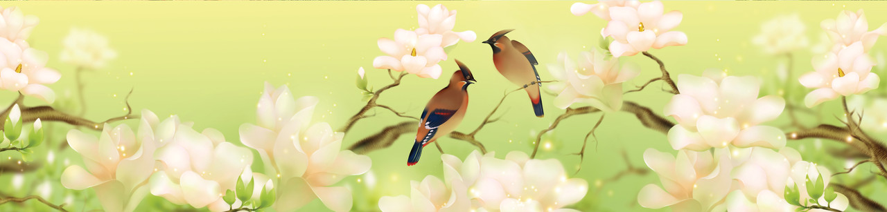 

Кухонный фартук Zatarga Птицы 600х2500 мм