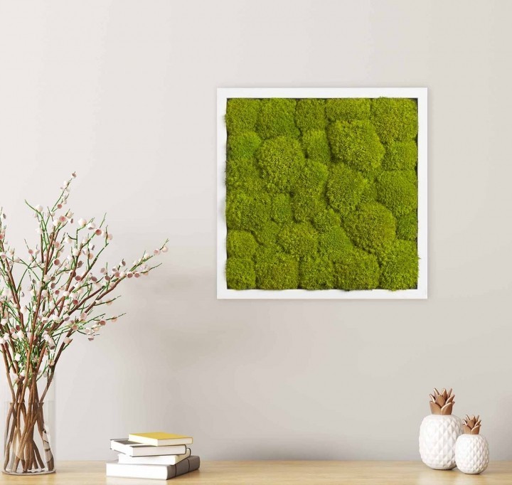 

Картина SmartBotanica из стабилизированного кочкового мха 35*35 см в белой деревянной рамке