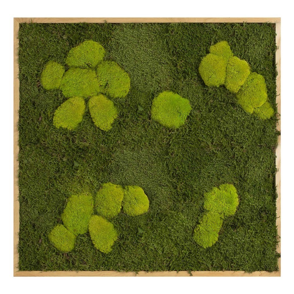 

Картина SmartBotanica из стабилизированного мха 80*80 см в светло-коричневой деревянной рамке