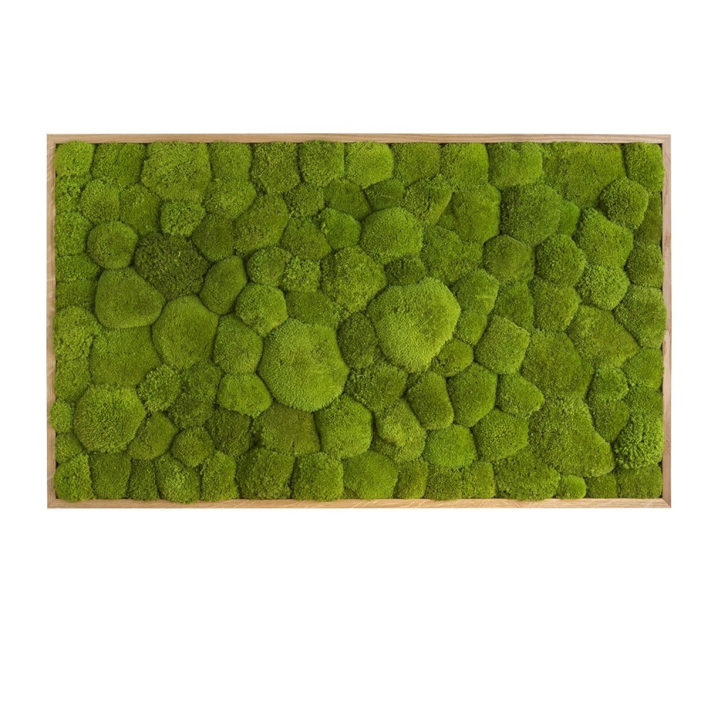 

Картина SmartBotanica из стабилизированного кочкового мха 100*60 см в деревянной рамке цвет охра