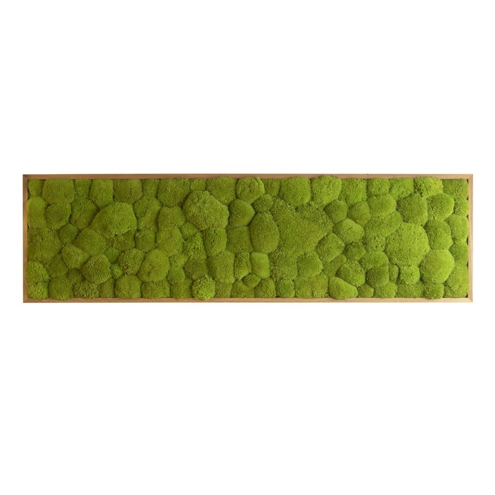 

Картина SmartBotanica из стабилизированного кочкового мха 140*40 см в деревянной рамке цвет охра