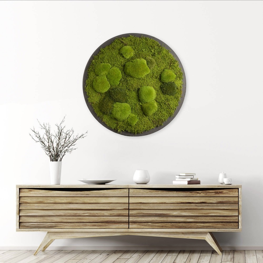 

Картина SmartBotanica со стабилизированным мхом диаметр 70 см