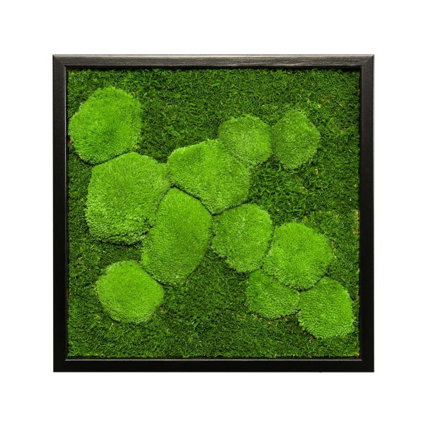 

Картина SmartBotanica из стабилизированного мха 40*40 см в черной деревянной рамке