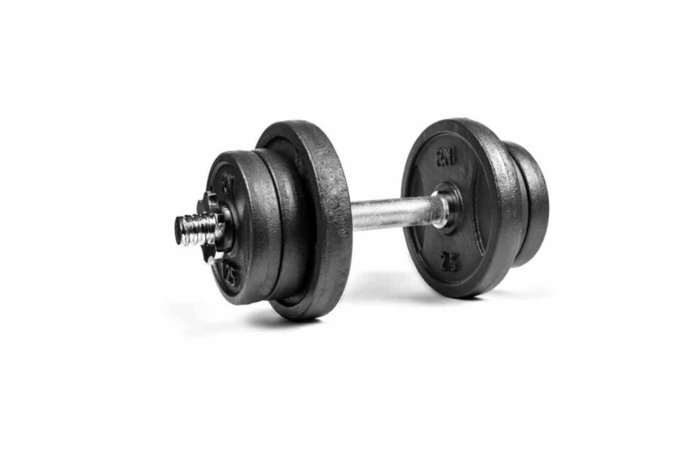 

Металлическая наборная гантель RN-Sport 11 кг (RN_QTR11)