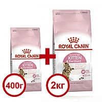 

Сухой корм Royal Canin Kitten Sterilised 2кг 400г в подарок