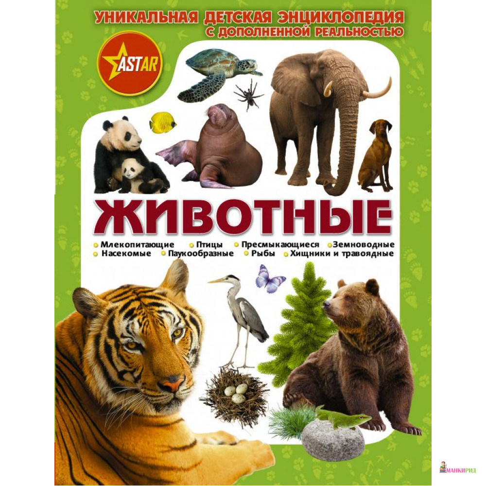 

Животные - Дмитрий Васильевич Кошевар - АСТ - 811845