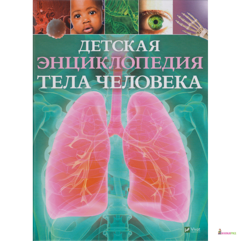 

Детская энциклопедия тела человека - Клэр Гибберт - Виват - 870028