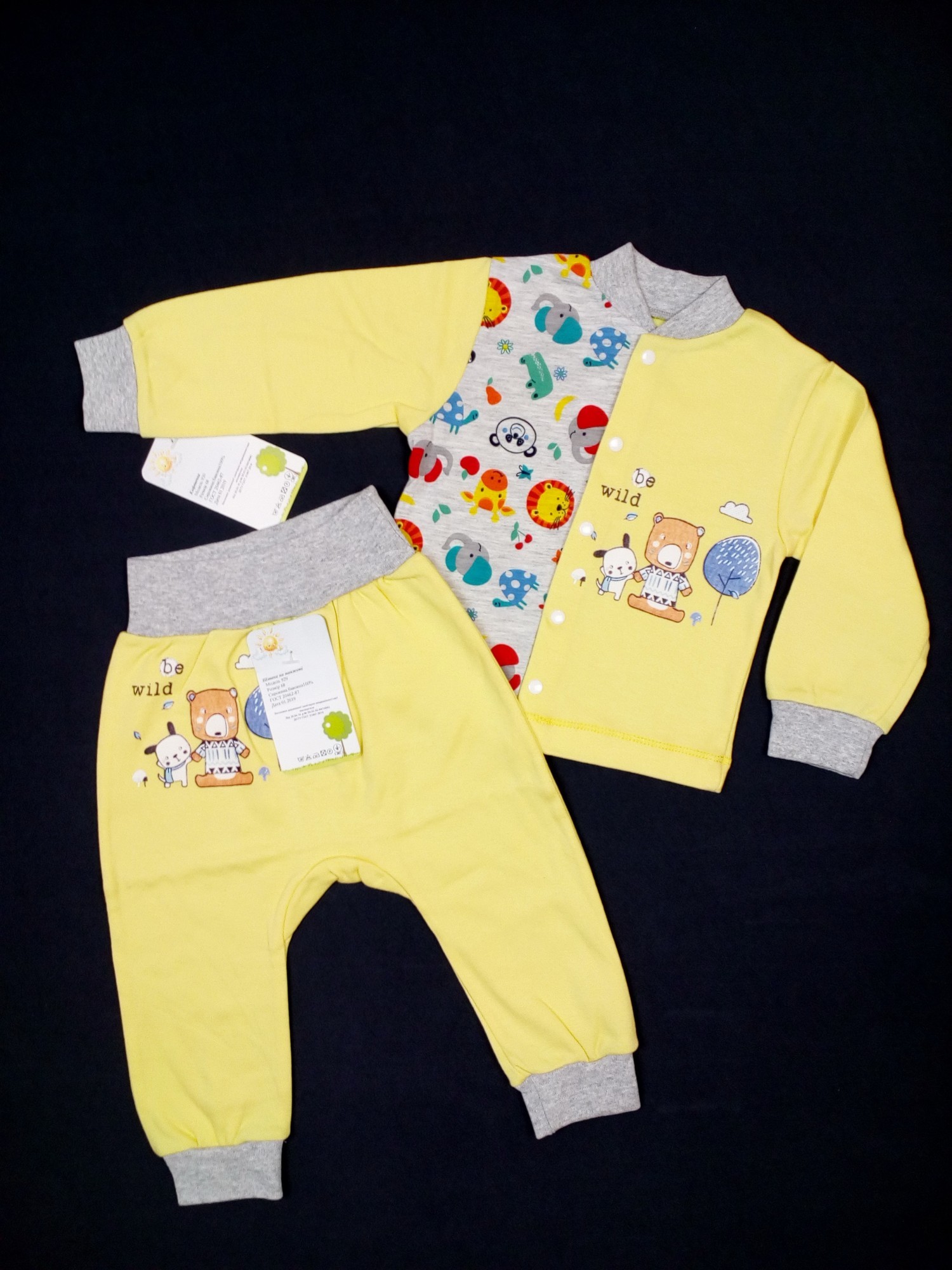 

Костюм (кофточка + штанишки) HappyTot Мишка с собачкой 68см желтый 929 + 930