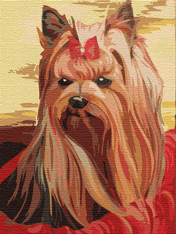 

Картина по номерам Идейка Милый друг 30 x 40 см (КНО2454) (4823104313786)