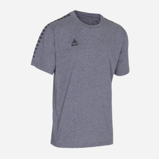 

Футболка тренировочная Select Torino T-Shirt  (005) Серая, Футболка тренировочная Select Torino T-Shirt L (005) Серая