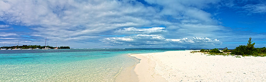 

Фотообои Динго Море Панорама Океан Пляж №1244v
