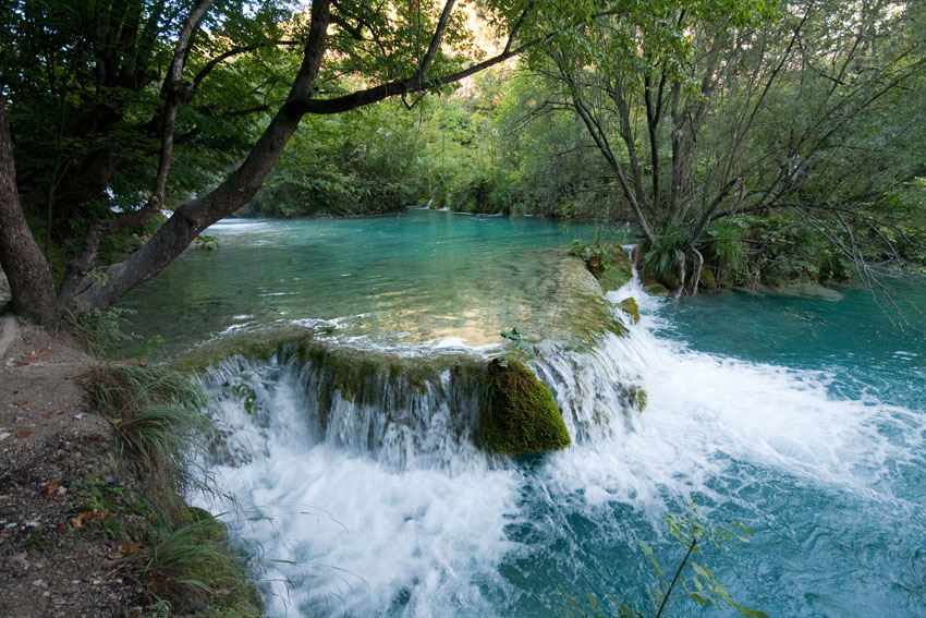 

Фотообои Динго Река Вода Водопад Камни №6634v