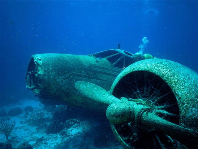

Фотообои Динго Подводный Рыбы Глубина Вода №5062v