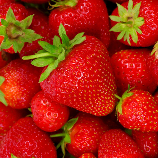 

Фотообои Динго Клубника Ягода Красный Фотообои №3841v