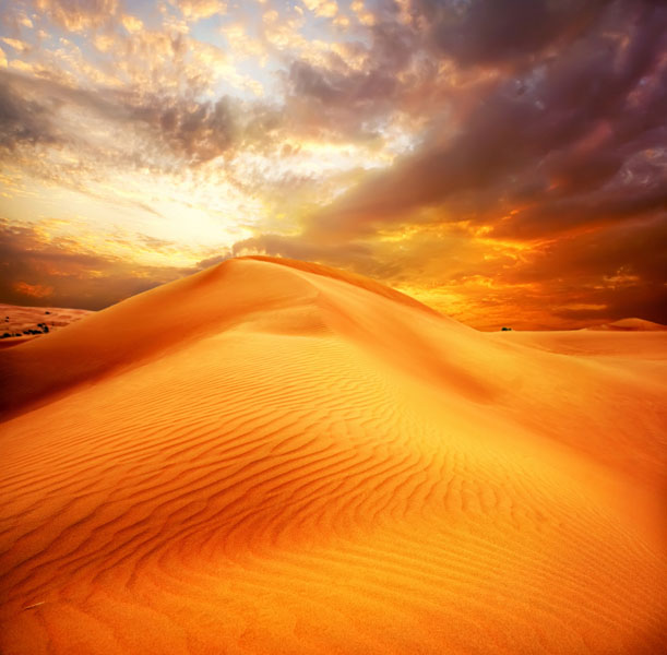 

Фотообои Динго Пейзаж Природа Вид Вода №7396v