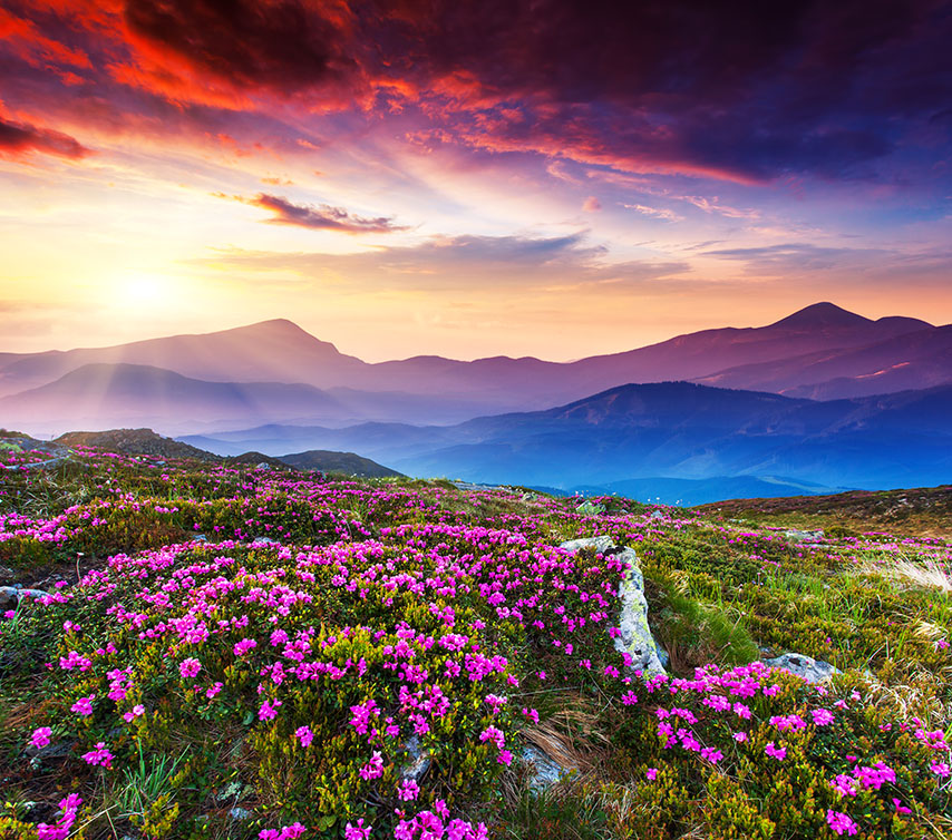 

Фотообои Динго Горы Скалы Wallpapers Фотообои №3929v