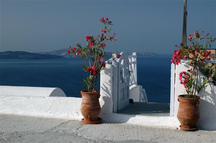 

Фотообои Динго Улица Дворик Wallpapers Фотообои №2421v