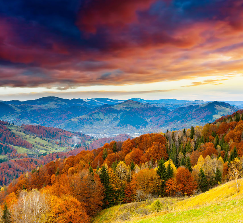 

Фотообои Динго Горы Скалы Wallpapers Фотообои №3919v
