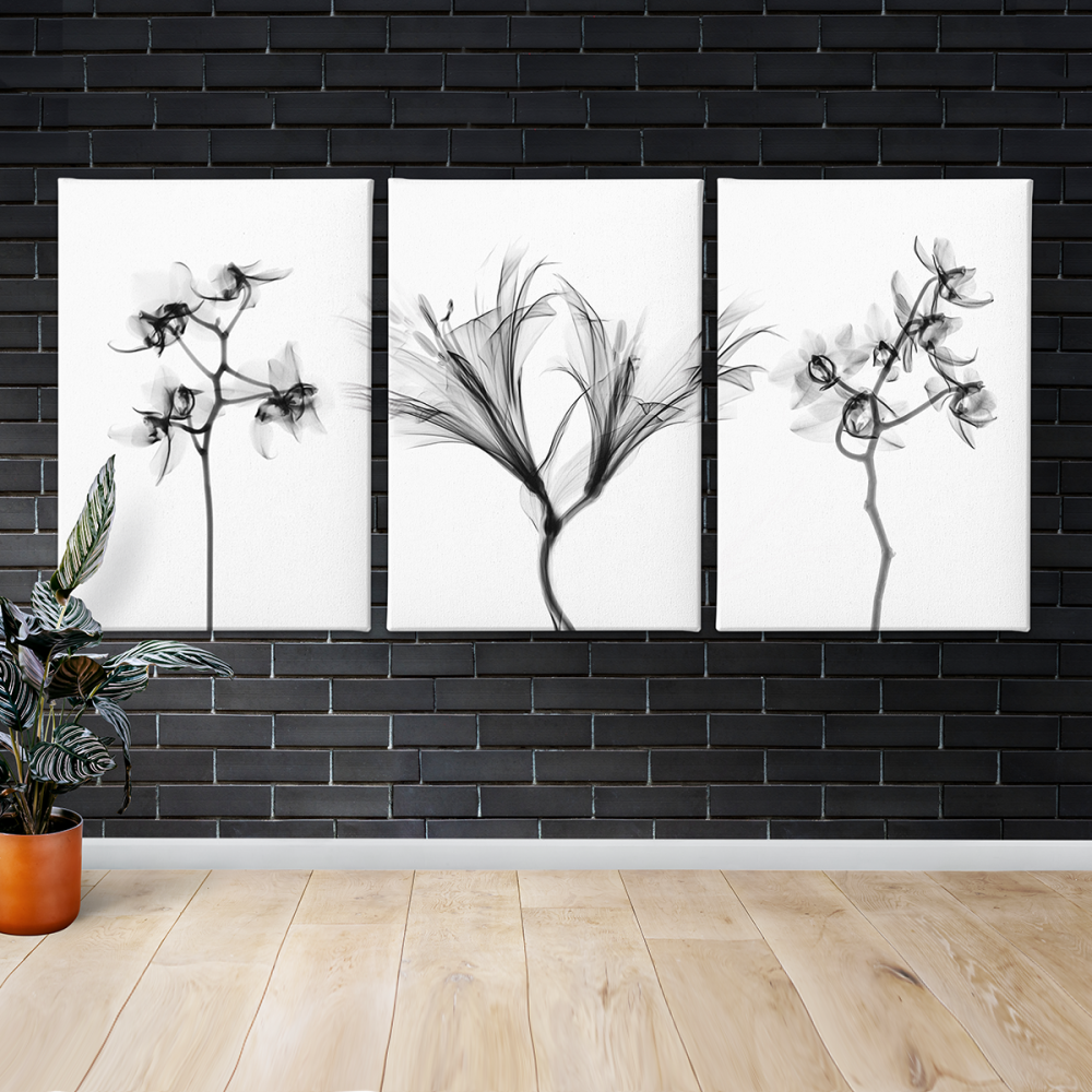 

Модульная картина из трех частей Black Flowers 156x100 см
