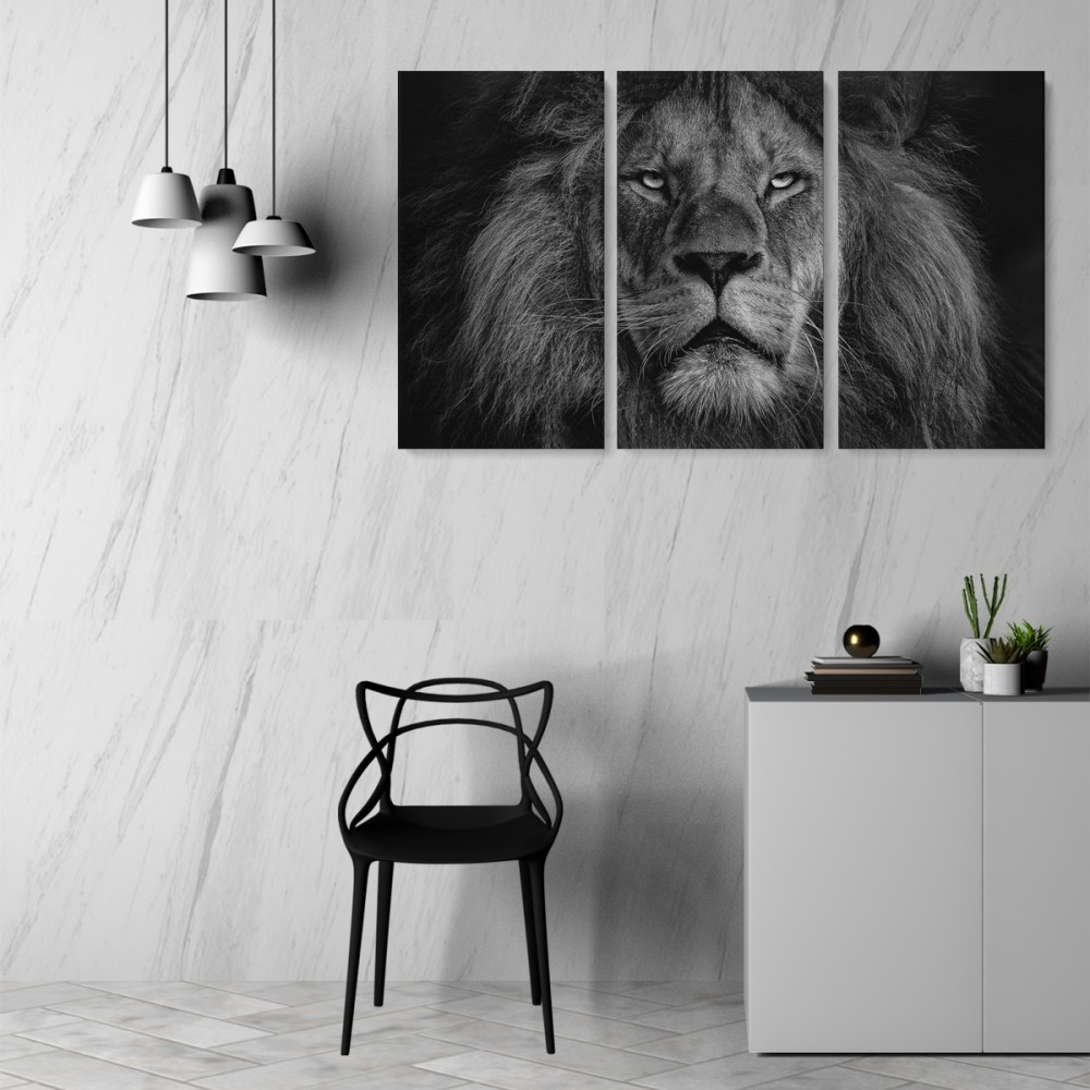 

Модульная картина из трех частей Король Лев 96x60 см