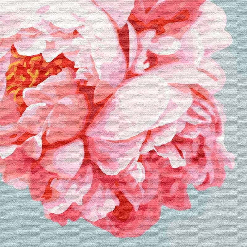 

Картина по номерам Идейка Розовые пионы 40 x 40 см (КНО3035) (4823104307495)