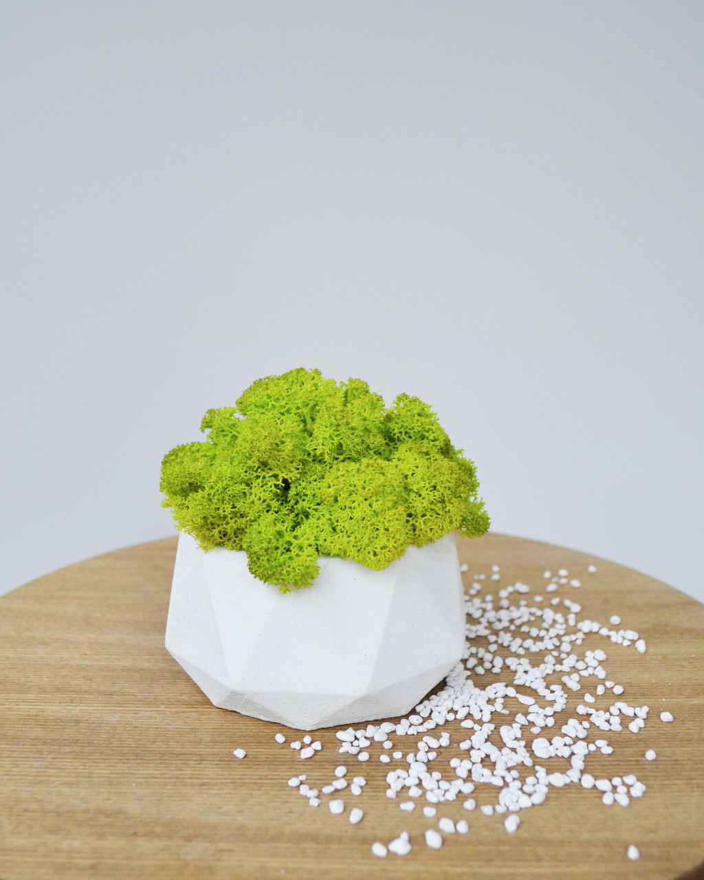 

Бетонное кашпо Artis Green с настоящим мхом Fresh Wasabi S117|5