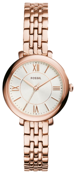 

Женские наручные часы Fossil ES3799