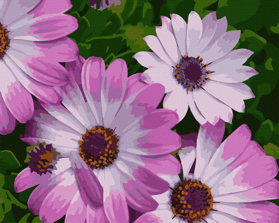 

Картина по номерам. Art Craft "Африканские ромашки" 40*50 см 13113-AC 392992