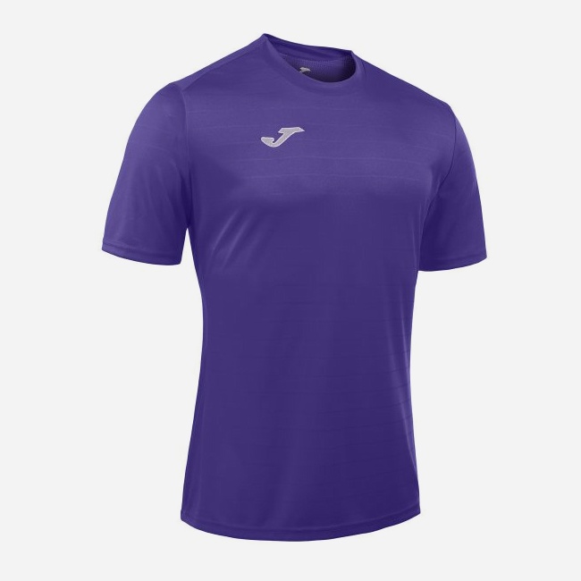 

Футболка спортивная Joma Campus II 4XS-3XS Фиолетовая (100417.550_4XS-3XS)