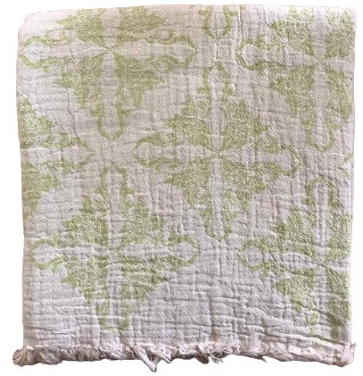 

Пляжное полотенце Gold Soft Life Pestemal Flower 100x180 Зеленое (ts-02734)