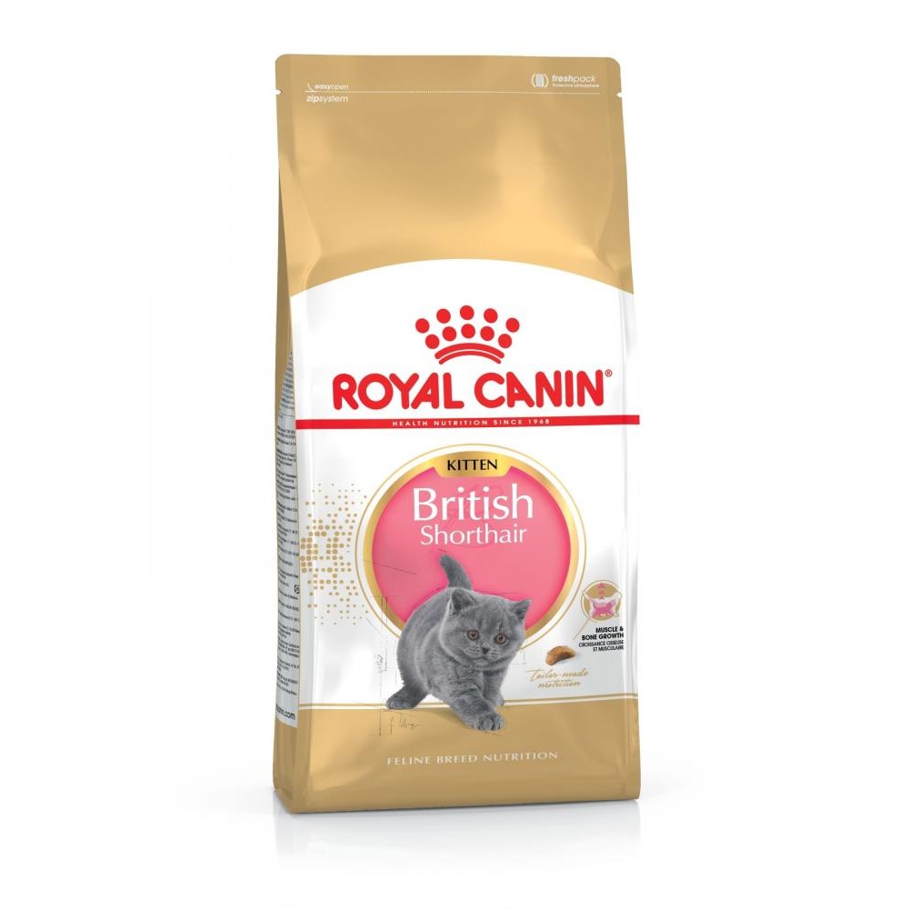 

Royal Canin (Роял Канин) Kitten British Shorthair (10 кг) корм для котят породы британская короткошерстная