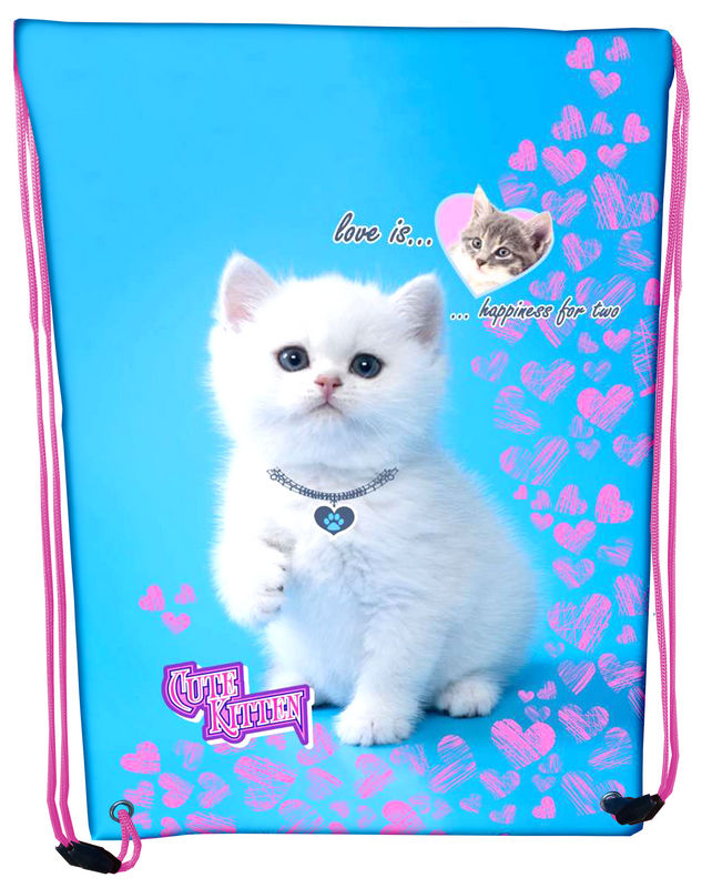 

Сумка для обуви Class Cute kitten 46 х 33 см (8591662212600)