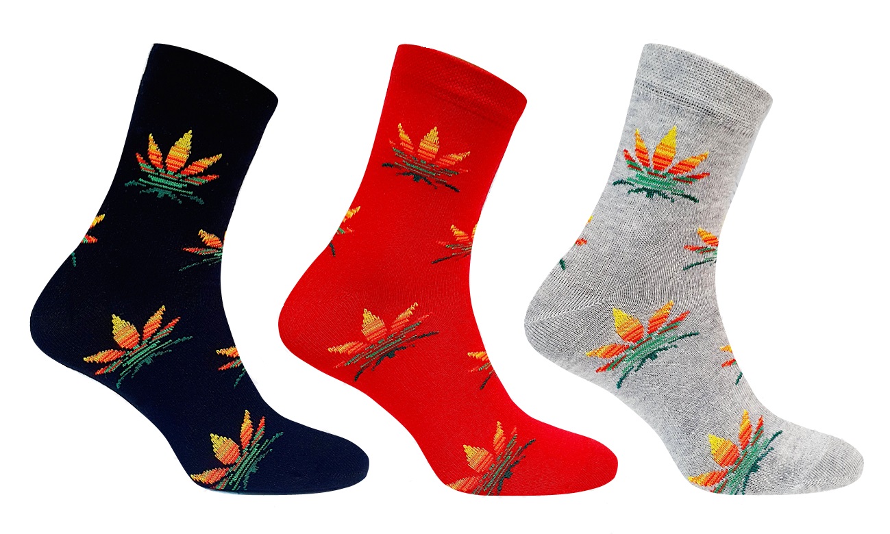 

Набір шкарпеток Super Socks Herbal 3 пари р. 36-40