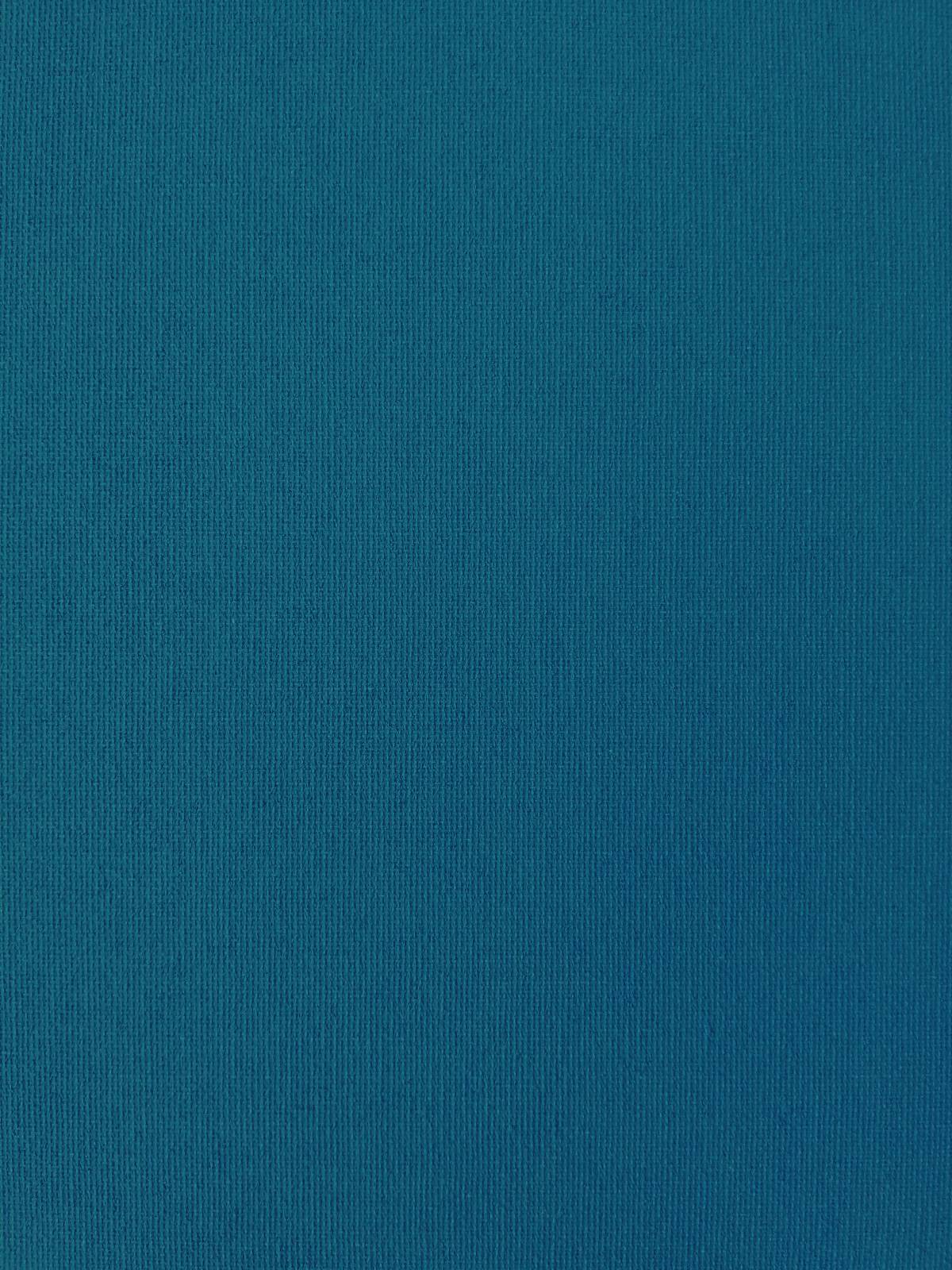 

Рулонная штора Franz Deco Eden 100 х 160 см Джинс (Д31730)