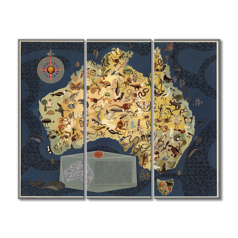 

Карта Artel «Эко Карта Австралии»3 модуля 120x180 см